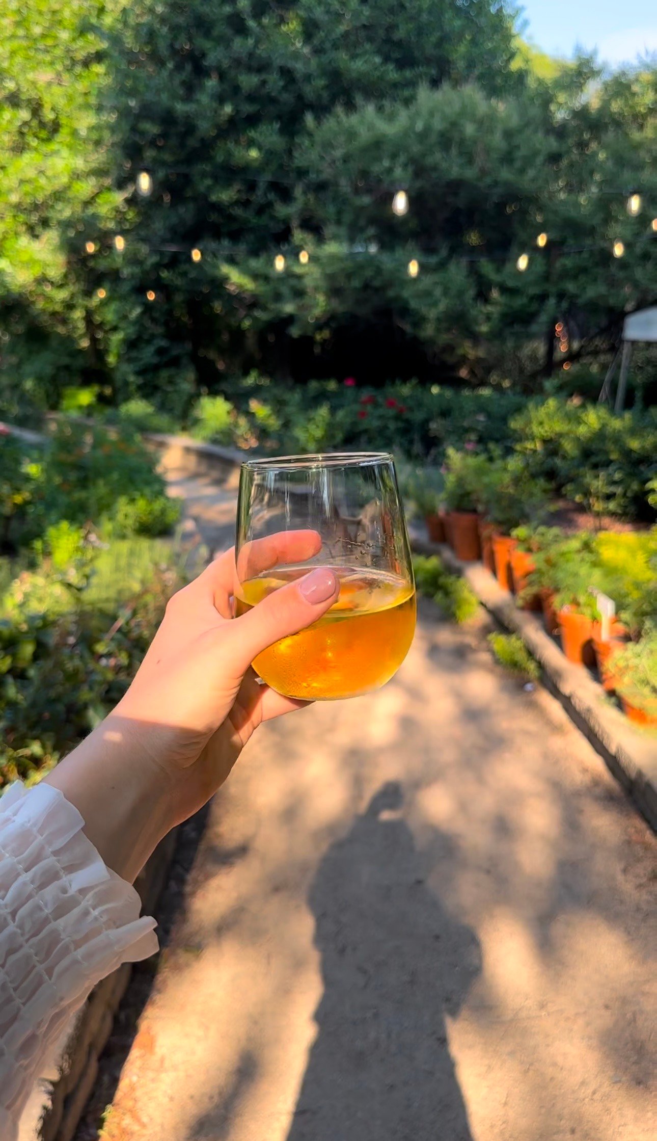 Inside newsletter featured pic (2)